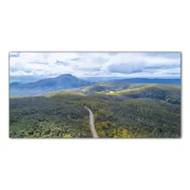 gory-las-natura-drzewa-100x50-cm-panele-do-kuchni