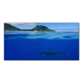 wieloryb-ocean-natura-100x50-panel-szklo-hartowane