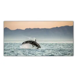 zarlacz-bialy-rekin-100x50-panel-szklo-hartowane