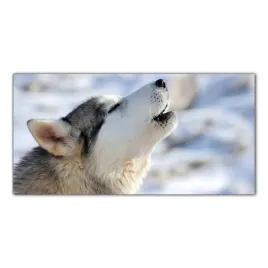 pies-husky-syberyjski-100x50-panel-szklo-do-kuchni