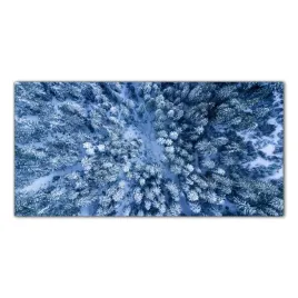 snieg-zima-las-drzewa-100x50-panel-szklo-hartowane