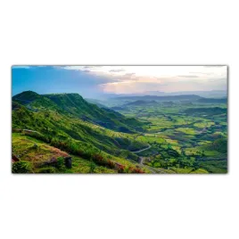gory-drzewa-natura-100x50-kuchnia-panele-szklane