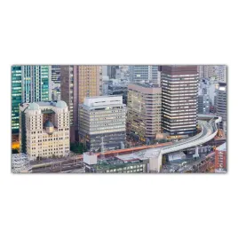 japonia-miasto-budynki-100x50-cm-lacobel-do-kuchni