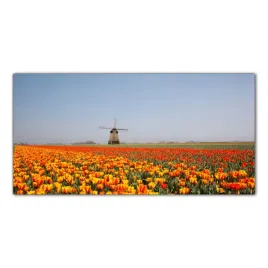 pole-tulipanow-holandia-100x50-cm-panele-szklane