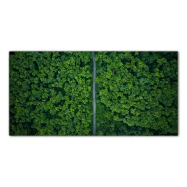 las-natura-droga-100x50-hartowane-panele-szklane