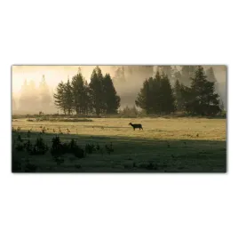 jelen-krajobraz-100x50-szklo-hartowane-do-kuchni