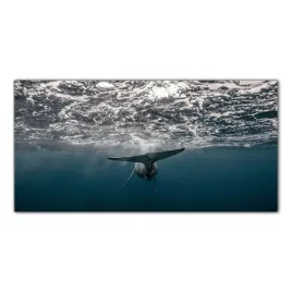 wieloryb-ocean-woda-100x50-panel-szklo-hartowane