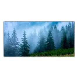 mgla-gora-las-natura-100x50-kuchnia-panele-szklane