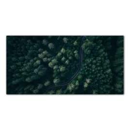 droga-wiejska-drzewa-100x50-panel-szklo-do-kuchni