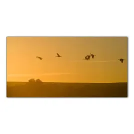 dzwigi-zachod-slonca-100x50-panel-szklo-do-kuchni