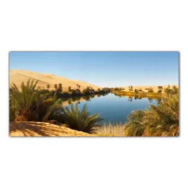 pustynia-oaza-sahara-100x50-panel-szklo-do-kuchni