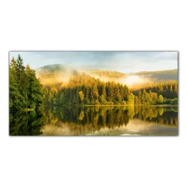 las-jezioro-mgla-100x50-panele-szklane-do-kuchni
