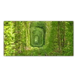 tunel-tory-pociag-100x50-hartowane-szklo-lacobel