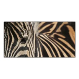zebra-zwierze-safari-100x50-panel-szklo-hartowane