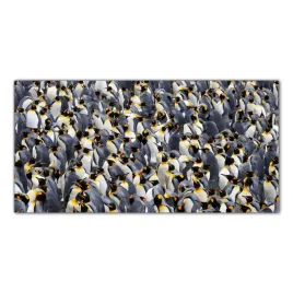 pingwin-krajobraz-100x50-panel-szklany-do-kuchni