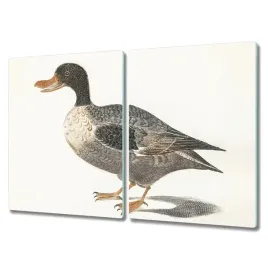 deska-ze-szkla-2x40x52-cm-nowoczesny-ptak-kaczka