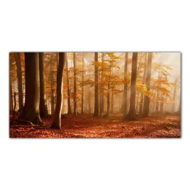 jesien-las-drzewa-100x50-panele-szklane-do-kuchni