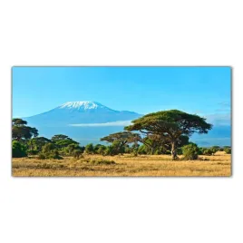 park-narodowy-amboseli-100x50-panel-szklo-kuchnia
