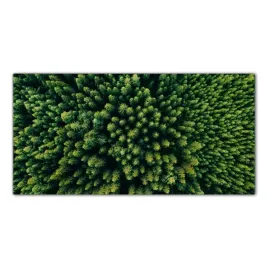 drzewa-las-natura-100x50-panele-szklane-do-kuchni