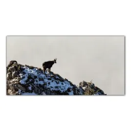 koza-gory-natura-100x50-szklo-hartowane-do-kuchni