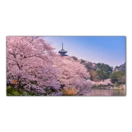 japonia-wisnia-kwiaty-100x50-panel-szklo-hartowane