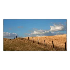 plot-linia-pole-100x50-cm-panele-szklo-hartowane
