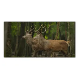jelen-natura-zwierze-100x50-panele-szklo-hartowane