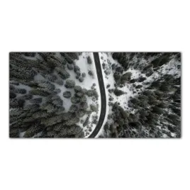 droga-las-drzewa-natura-120x60-lacobel-do-kuchni
