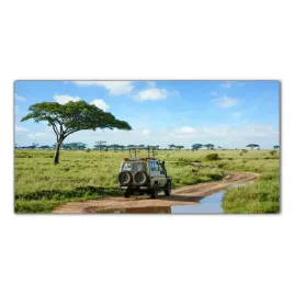 safari-afryka-krajobraz-120x60-lacobel-do-kuchni
