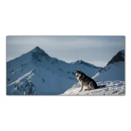 husky-gory-pies-120x60-szklo-hartowane-do-kuchni