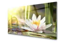 obraz-szklany-kwiat-lilia-wodna-natura-100x50