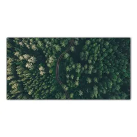 droga-las-krajobraz-120x60-panele-szklo-hartowane