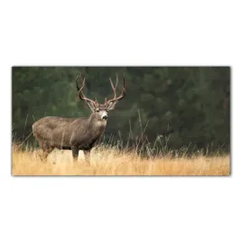 jelen-jesien-natura-120x60-szklo-hartowane-panel