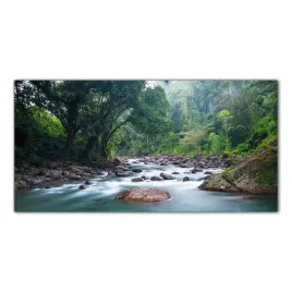 rzeka-tropiki-dzungla-120x60-panel-szklo-hartowane