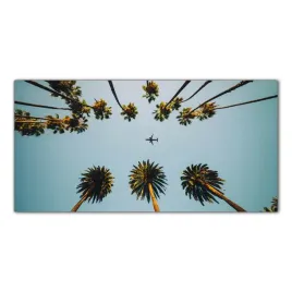 palmy-samolot-drzewa-120x60-kuchnia-panel-nad-blat