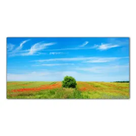 kwiaty-pole-laka-120x60-panel-nad-blat-do-kuchni