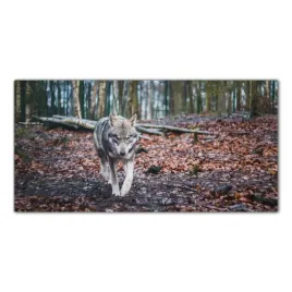 wilk-zwierze-las-120x60-szklo-hartowane-do-kuchni