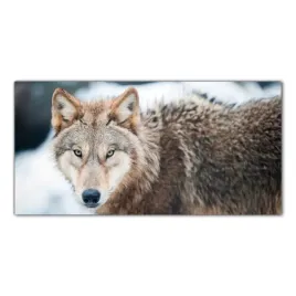wilk-las-zwierze-120x60-szklo-hartowane-do-kuchni
