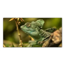 jaszczurka-tropiki-120x60-panel-nad-blat-kuchnia