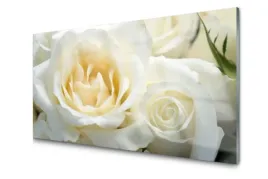 obraz-szklany-na-sciane-roze-kwiaty-foto-100x50