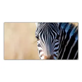 zebra-safari-afryka-120x60-panele-szklo-hartowane