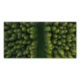 droga-las-drzewa-120x60-hartowane-panel-nad-blat