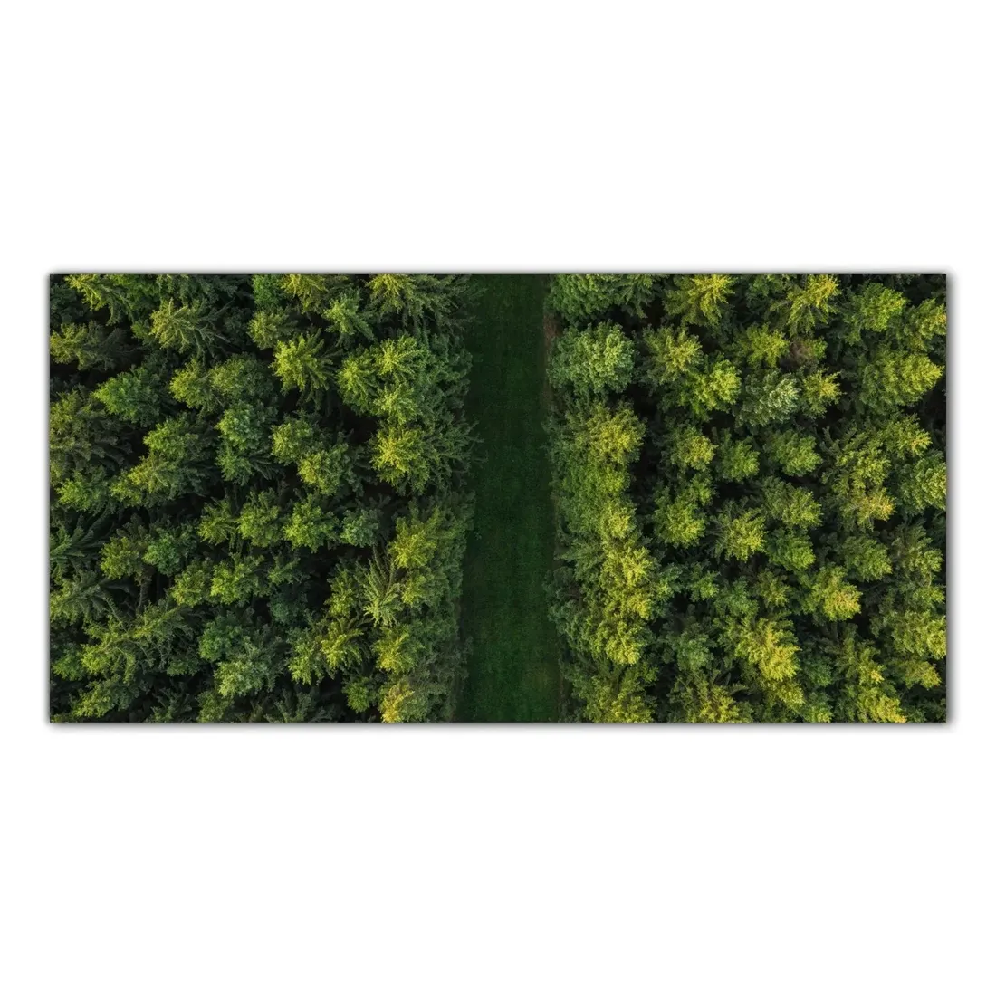 droga-las-drzewa-120x60-hartowane-panel-nad-blat-stan-nowy