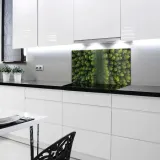 droga-las-drzewa-120x60-hartowane-panel-nad-blat-dlugosc-60-cm