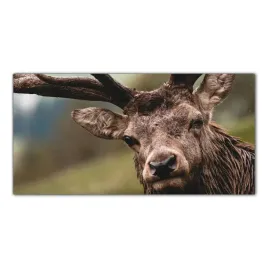 jelen-natura-zwierze-120x60-panel-szklo-hartowane