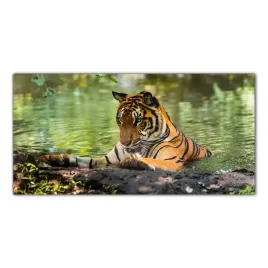 tygrys-tropiki-las-120x60-panel-nad-blat-do-kuchni
