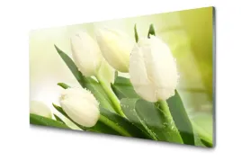 obraz-szklany-tulipany-kwiaty-roslina-foto-100x50