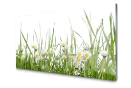 obraz-szklany-trawa-stokrotki-natura-foto-100x50