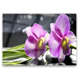 foto-obraz-szklany-kwiaty-roslina-natura-100x70