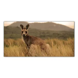 kangury-australia-120x60-panel-scienny-do-kuchni